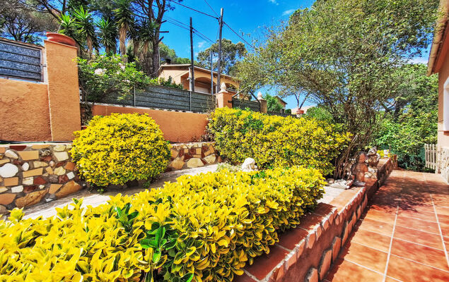 Panoramic - Photo 33