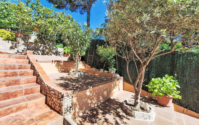 Panoramic - Photo 35