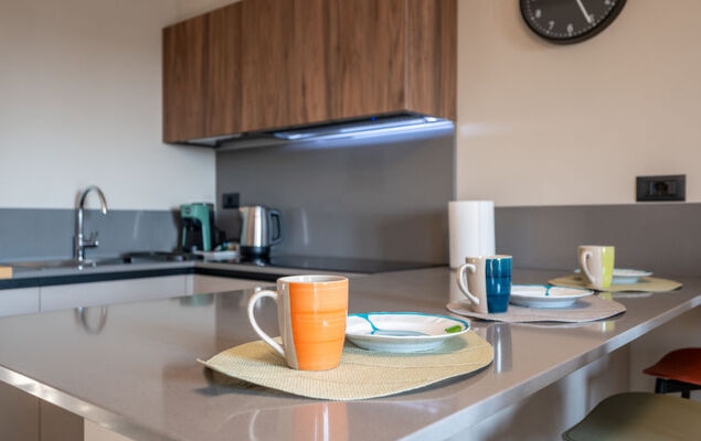 Al Torrione - Photo 19