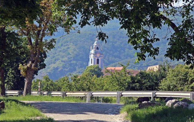 Haus Fries - Photo 31