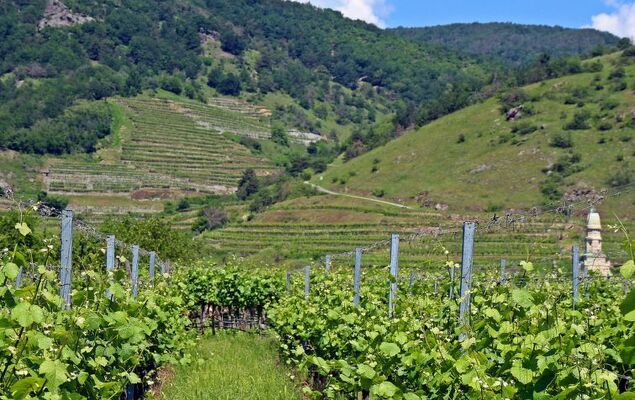 Haus Fries - Photo 34