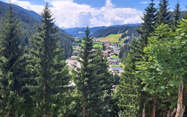 Bischofsmütze - Photo 16