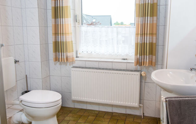 Silbermöwe - Photo 17