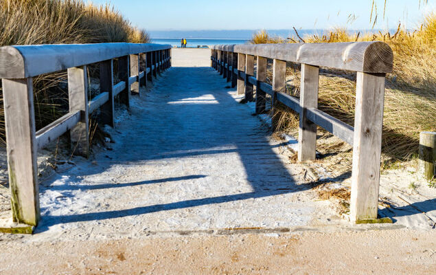 Silbermöwe - Photo 24