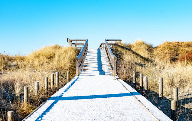 Silbermöwe - Photo 25