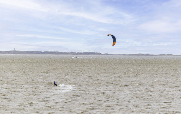 Silbermöwe - Photo 26