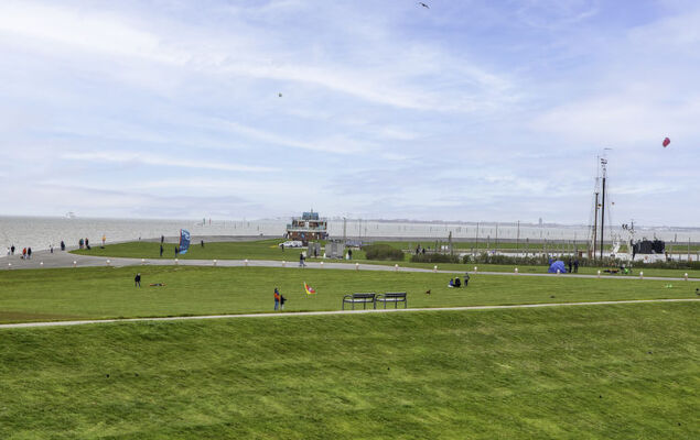 Silbermöwe - Photo 27