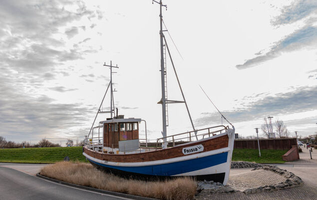 Silbermöwe - Photo 29