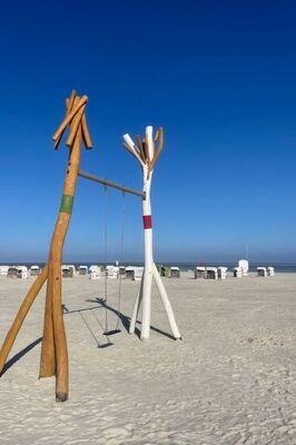 Silbermöwe - Photo 33