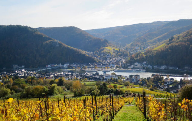 Weingut Krempel - Photo 21