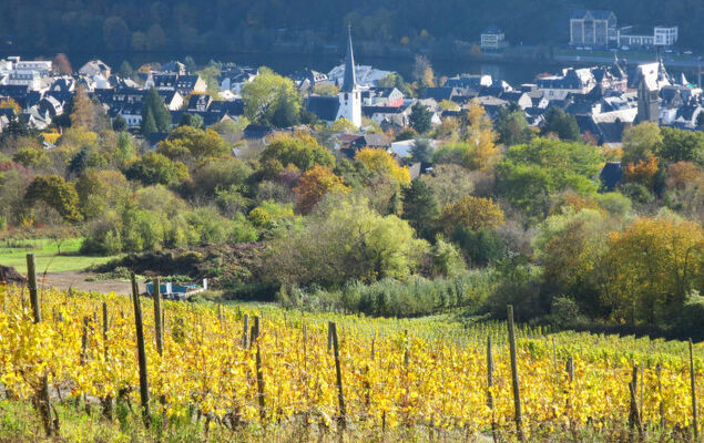 Weingut Krempel - Photo 22