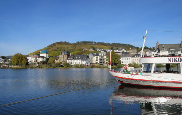 Weingut Krempel - Photo 23